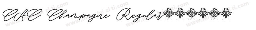 CAC Champagne Regular字体转换